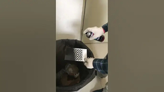 Acrylic Spray Paint for Indoor & Outdoor Use Varies Application Temperature