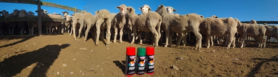 500ml Plyfit Sheep Marking Paint Eco Friendly Color Tail Animal Marking Spray Paint