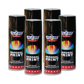 Good Adhesiveness Aerosol Spray Paint 300ML Liquid Coating 5 Minutes Surface Dry Time